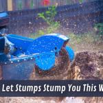 Read Article: Don't Let Stumps Stump You This Winter