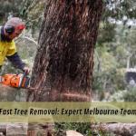 Fast Tree Removal: Expert Melbourne Team