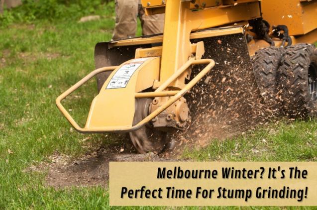 Melbourne Winter? It's The Perfect Time For Stump Grinding!