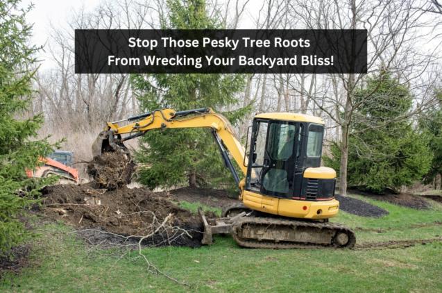 Stop Those Pesky Tree Roots From Wrecking Your Backyard Bliss!