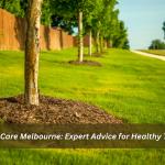 Tree Care Melbourne: Expert Advice for Healthy Trees