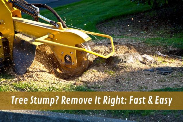 Tree Stump? Remove It Right: Fast & Easy