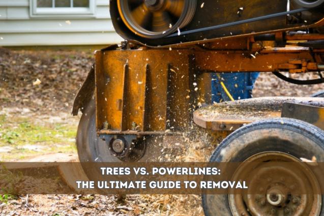 Trees vs. Powerlines: The Ultimate Guide to Removal