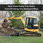 Stop Those Pesky Tree Roots From Wrecking Your Backyard Bliss!