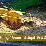 Tree Stump? Remove It Right: Fast & Easy