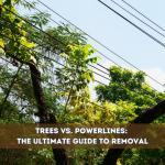 Trees vs. Powerlines: The Ultimate Guide to Removal