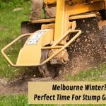 Melbourne Winter? It's The Perfect Time For Stump Grinding!