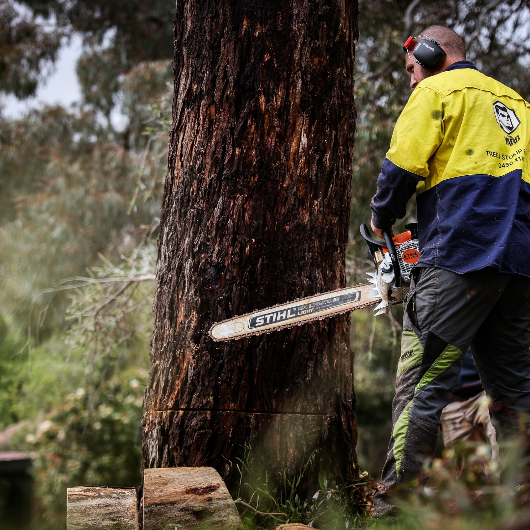 View Photo: Melbourne Stump Grinding | Fast, Safe & Affordable | The Yard