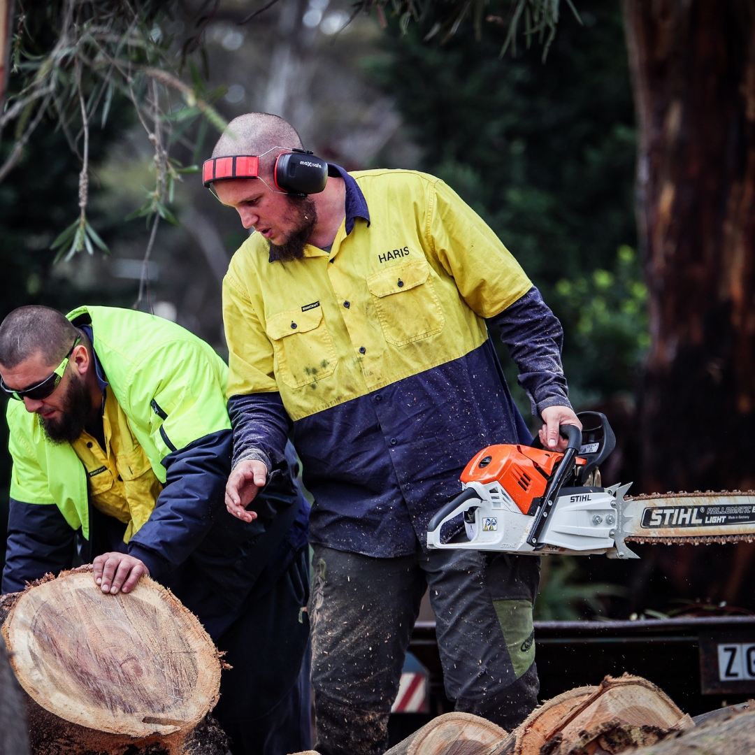 Melbourne Stump Grinding | Fast, Safe & Affordable | The Yard