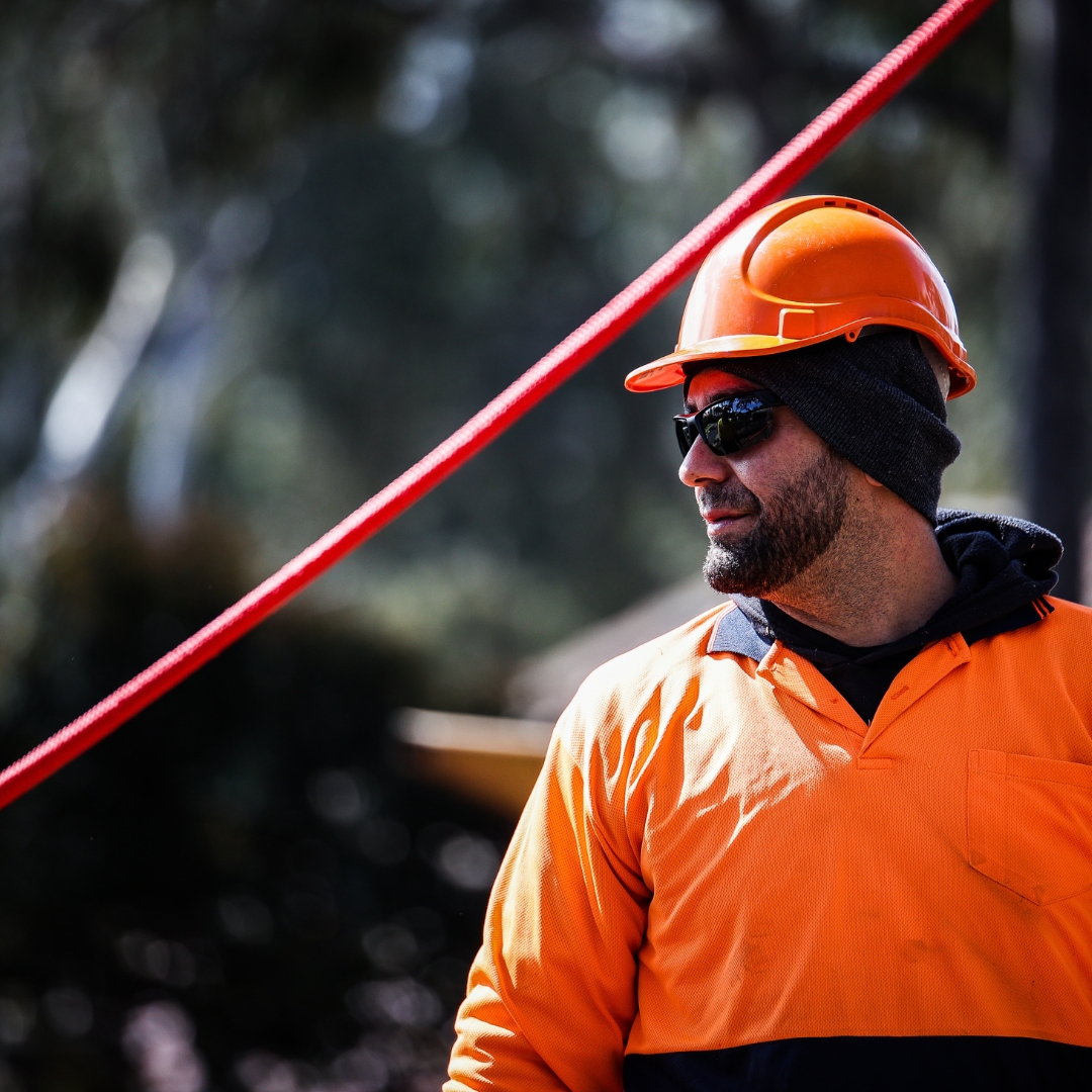 View Photo: The Yard: Your Melbourne Tree Care Specialists