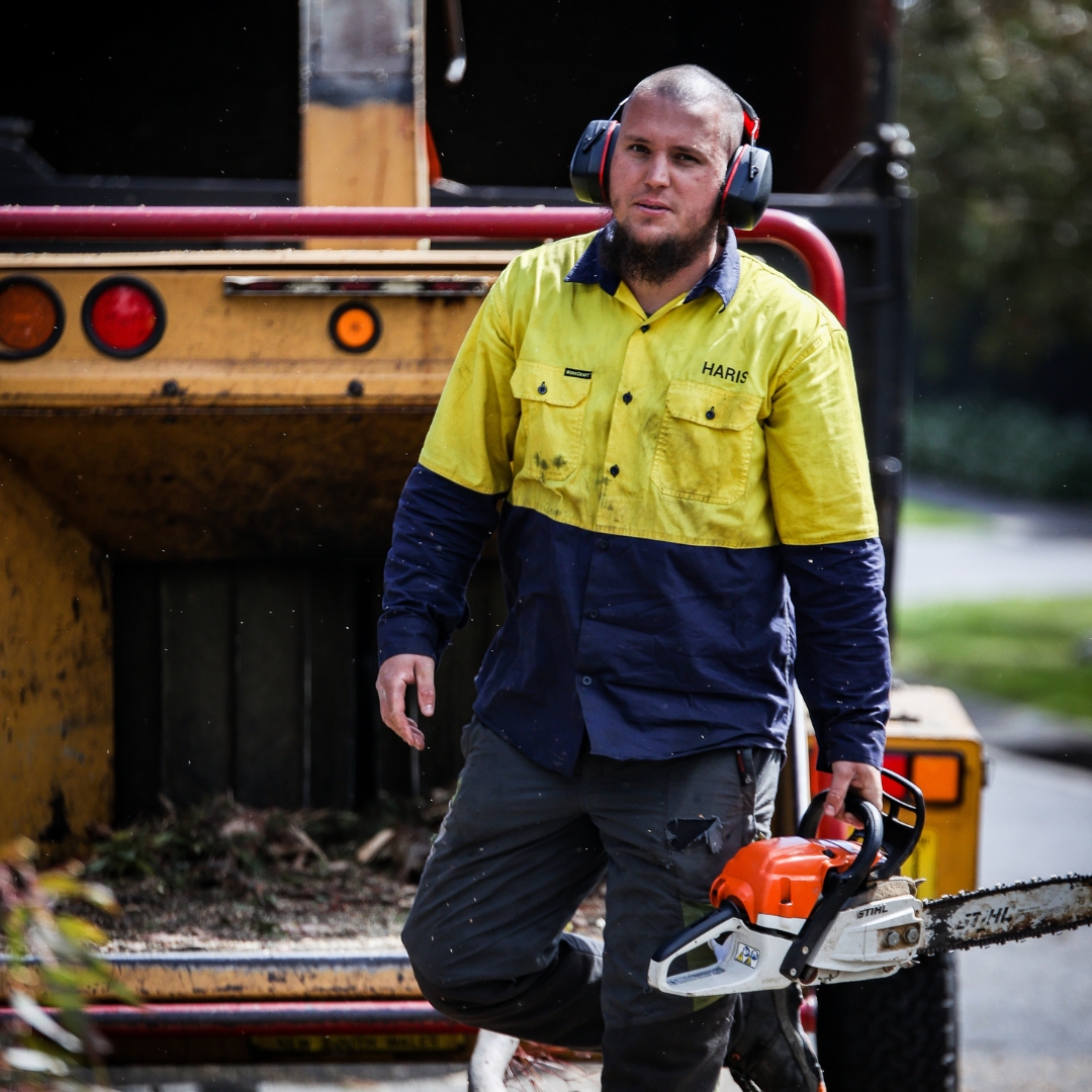 View Photo: The Yard: Your Melbourne Tree Care Specialists