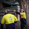 The Yard: Your Melbourne Tree Care Specialists