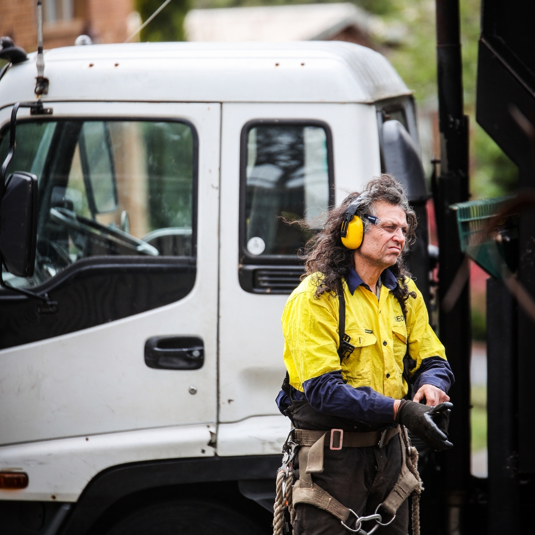 The Yard: Your Melbourne Tree Care Specialists