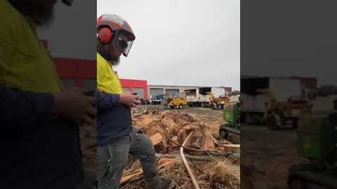 Watch Video : Stump Grinding Melbourne -  The Yard