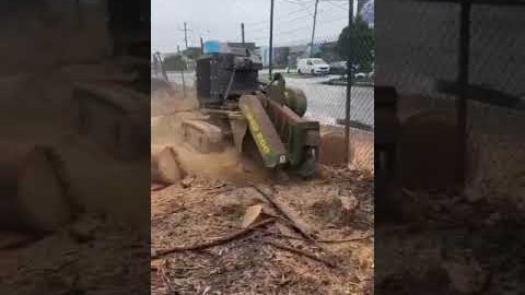 Watch Video: The Yard: Professional Tree Stump Grinding, Done Right.