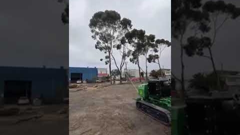 Watch Video: Tree Removal Services in Melbourne - The Yard