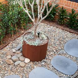 View Photo: Coogee landscape designer