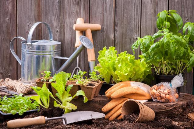 Essential Tools Every Gardener Needs: A Comprehensive Guide