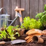 Essential Tools Every Gardener Needs: A Comprehensive Guide